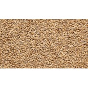 Солод пшеничный (Viking malt), 1КГ